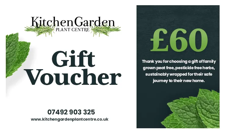 £60 Gift Voucher